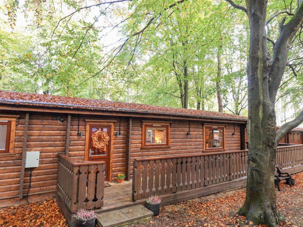 Leafy Hollow Lodge Louth  Extérieur photo